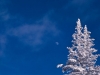 4013-winter-moon-burke-mountain-vermont