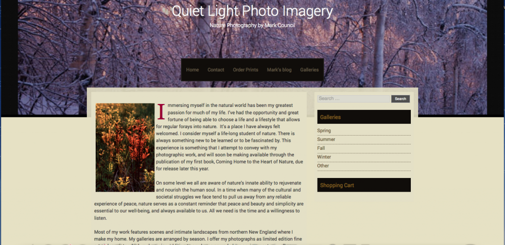 Sixteen theme